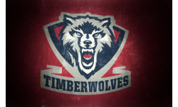 _TIMBERWOLVES_