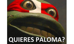 Quieres paloma?