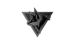 Team AVL NEXTGaming.