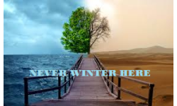 NEVER WINTER HERE