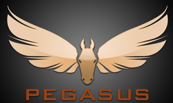 Team PegasuS