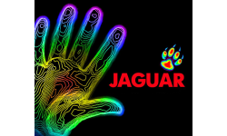 Jaguar+4