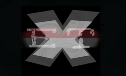 Execution-X