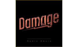 Damage Diller