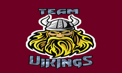 Team Vikings