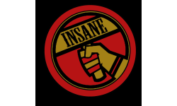 TEAM INSANE~