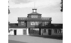 Buchenwald Gaming