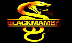 Black_Mamba_The_Best