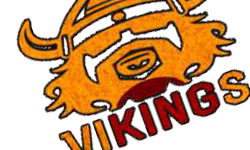Vikings E-Sports Club