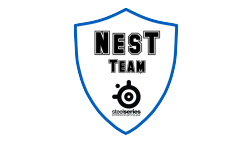NesT Team.Gaming