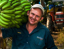 Banana Farmers