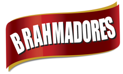 BrahmadoresTeam