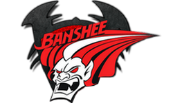 Banshee Gaming