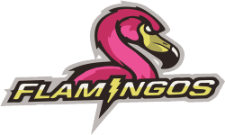 Team Flamingos