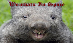 Wombats In Space