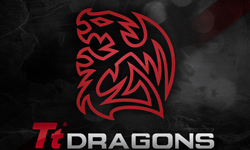 Tt Dragons