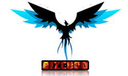 BiZCODD GAMING