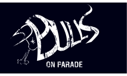 Bulls In Parade