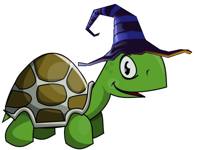 Magic Turtles