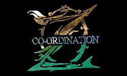 Zero Co-ordination-