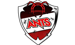 Ants E-sports