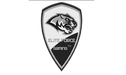Elite Force Gaming.A