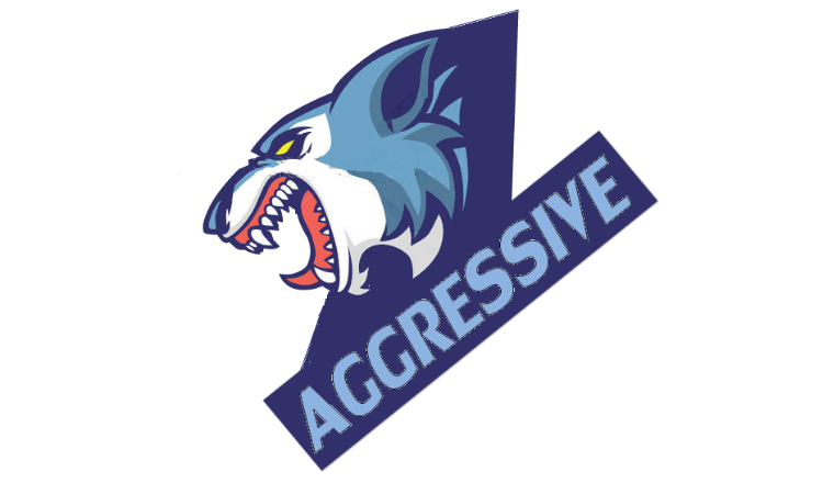 Team Agressive