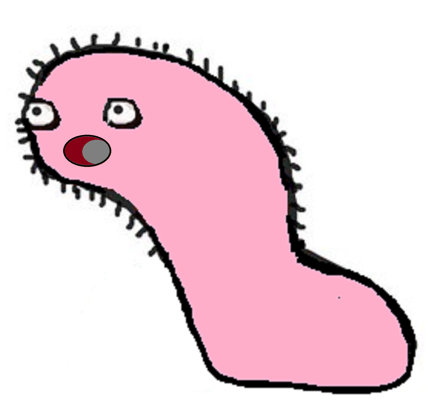 TFWorms