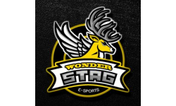 Wonder Stag eSports