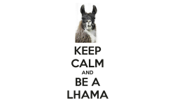 Keep Calm and be a Lhama