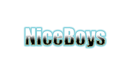 Team NiceBoys