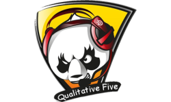 Qualitative Five