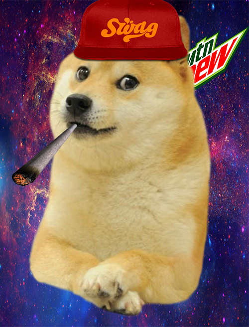 Youth Obeying Doge's Orders