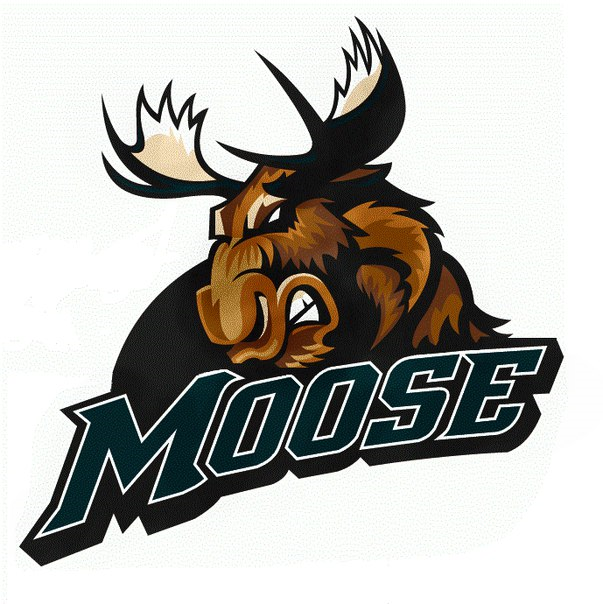 Moose__