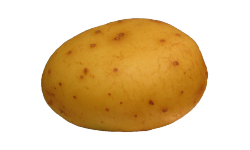 Potato.int