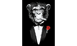 Elegant Monkeys