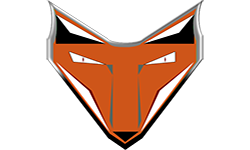 Red Fox e-Sports