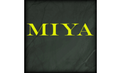Team Miya
