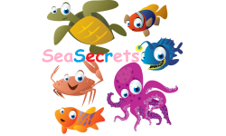 Sea Seacrets