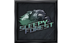 _Sleepy_Forest_