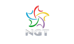 New Gaming Team