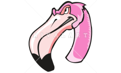 Flamin Pink Flamingos