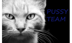 PUSSY_TEAM