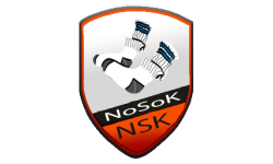 Team_NoSoK