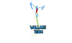 Wallace Team