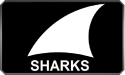 Team is Sharks