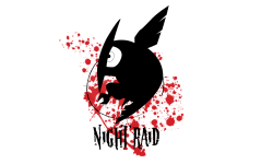 NightRaid.eu