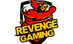 Revenge Gaming Hyper-X