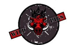 Wild Pigs Team