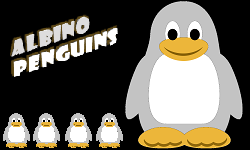 Albino Penguins